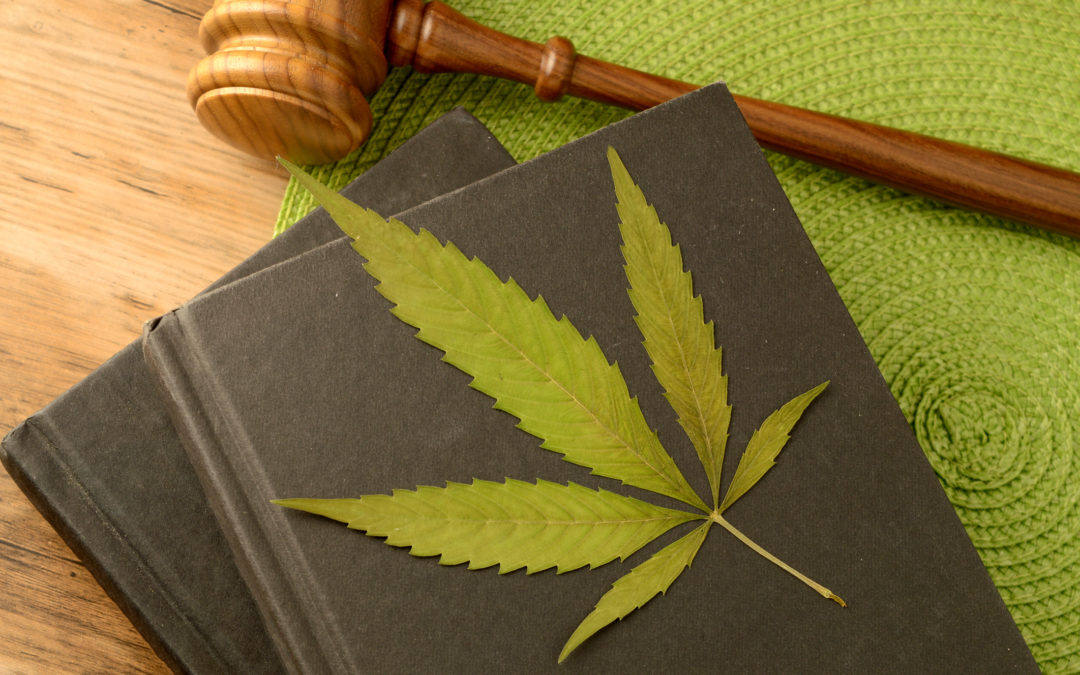 Trends in Cannabis Regulatory Compliance